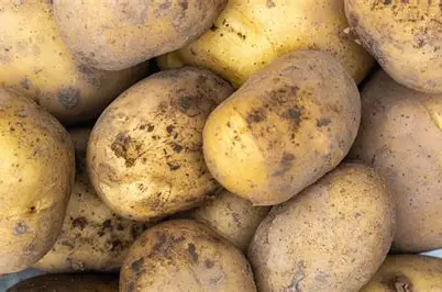 Fresh potatoes