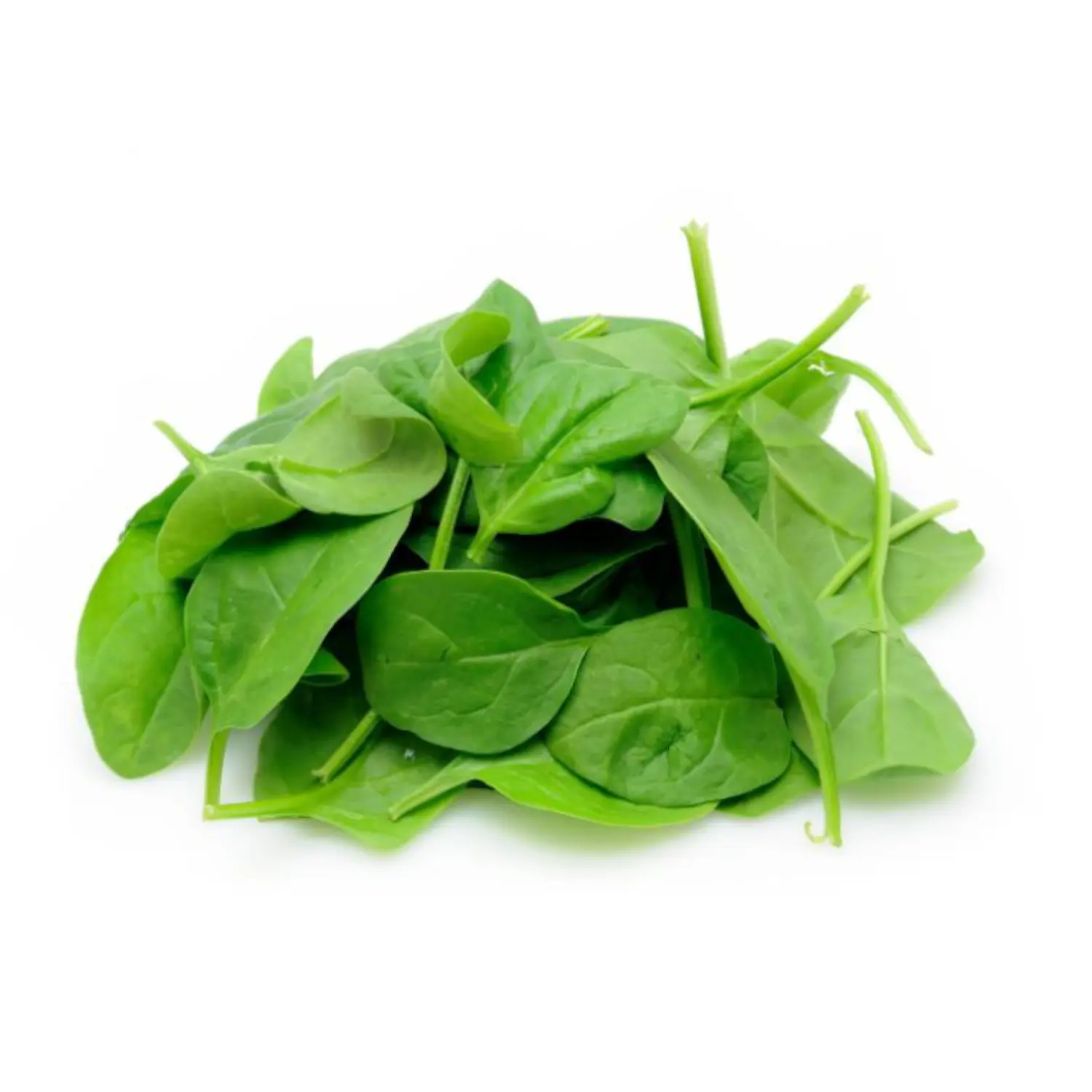 Fresh baby spinach