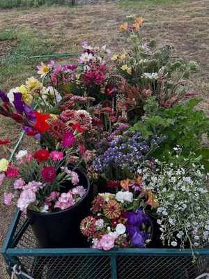 Sagely Blooms flower cart
