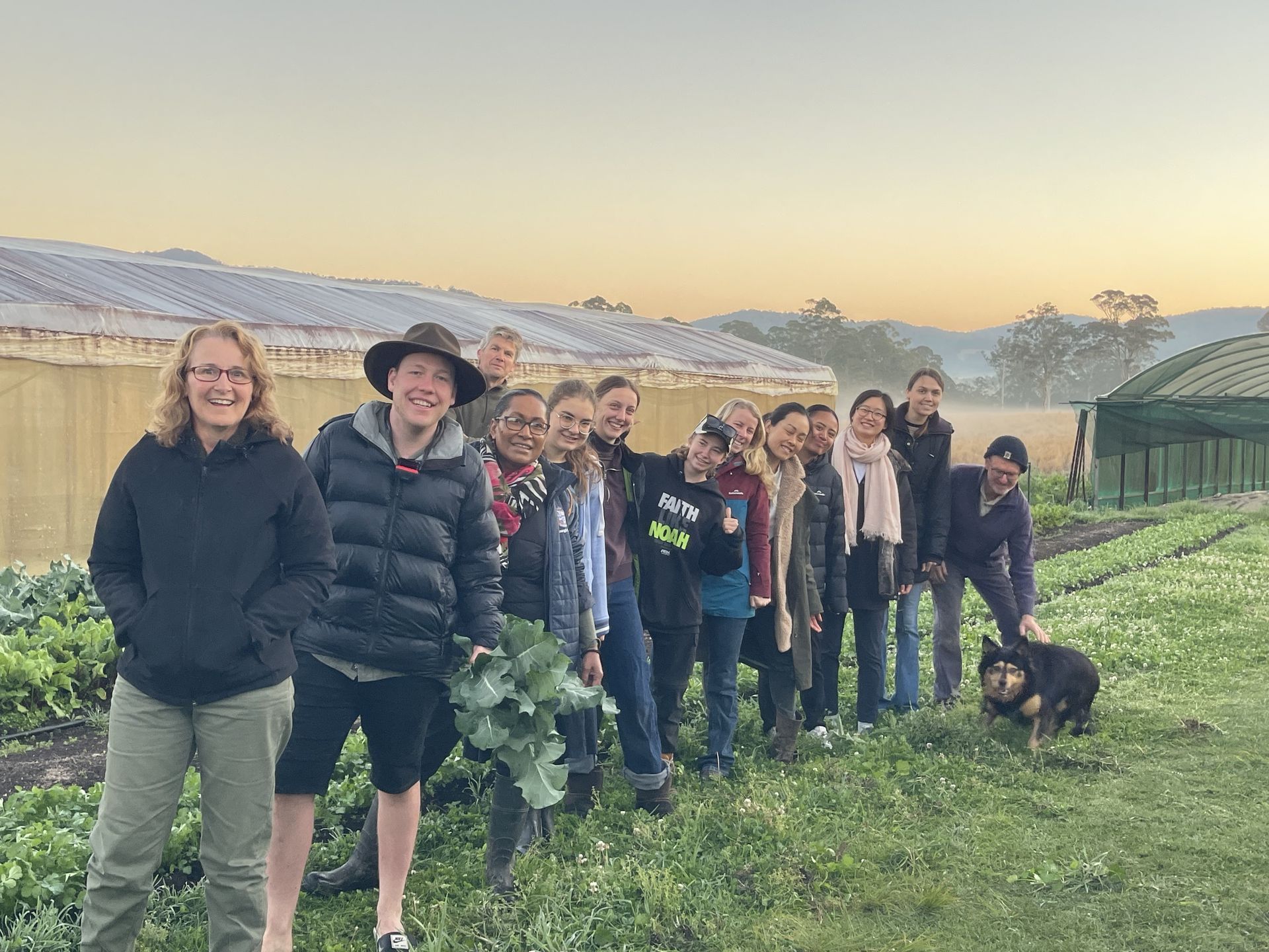 Maddison Missions students working on the farm