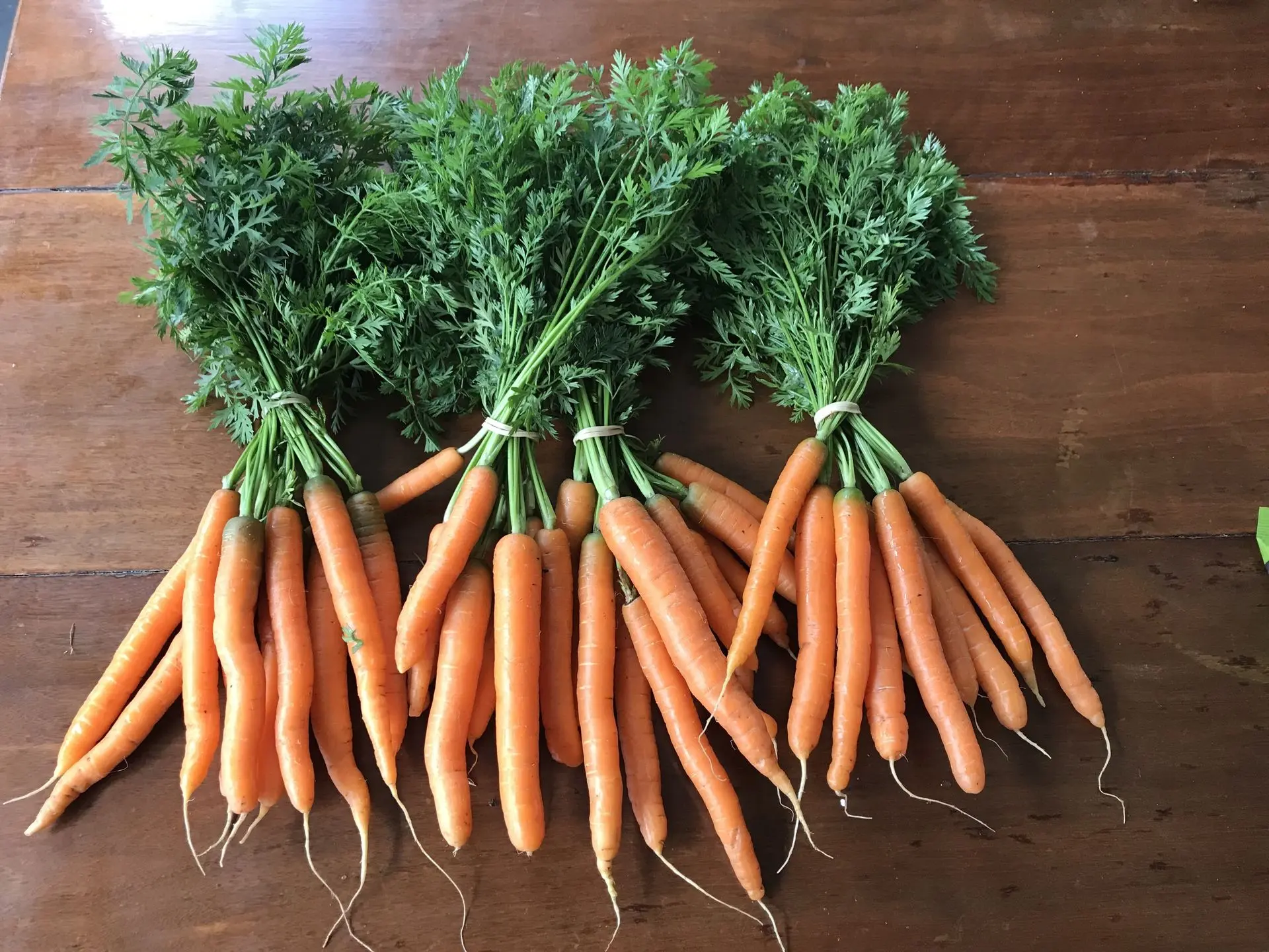 Fresh carrots