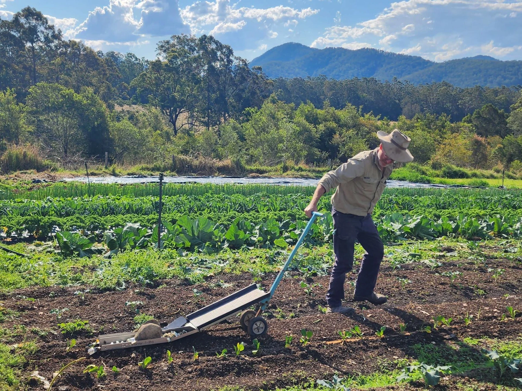 Is Your Garden Ready For Spring?