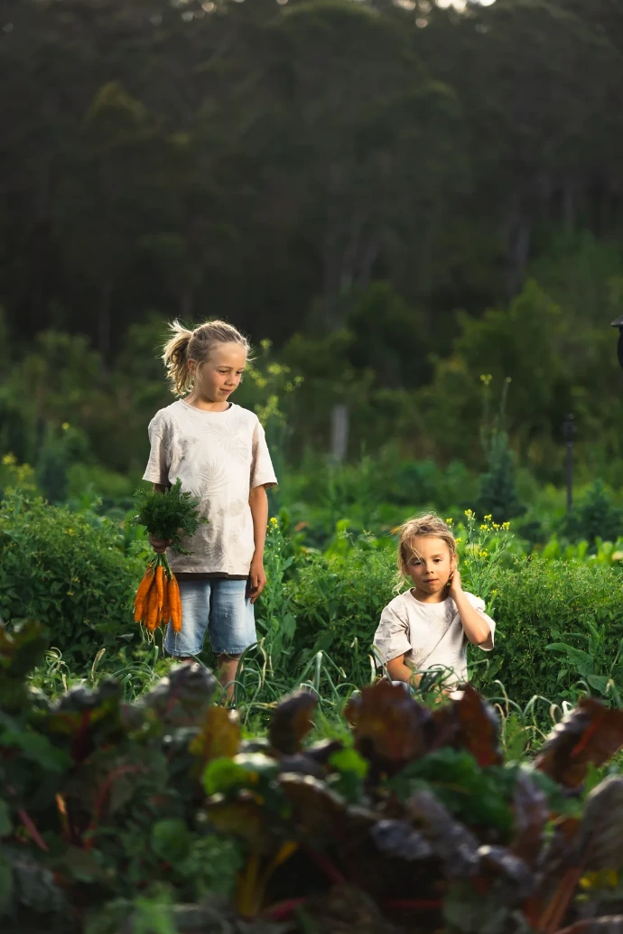 Kids picking carrots at Homegrown Organics