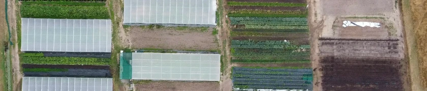 Aerial view of the Homegrown Organics greenhouses and growing rows