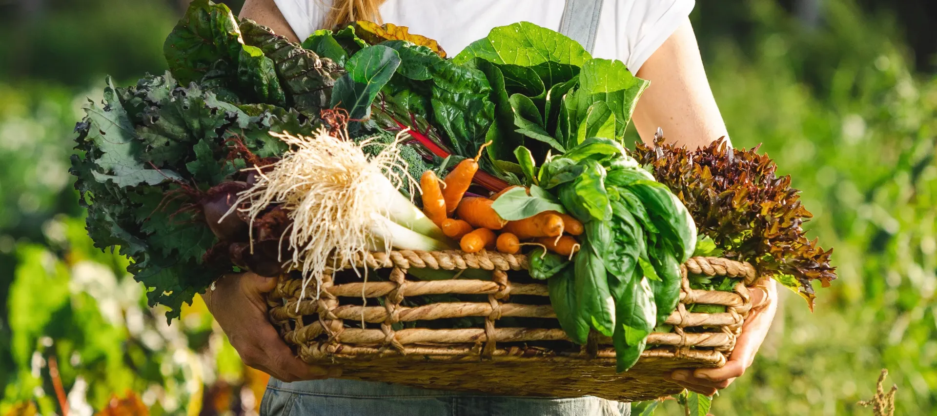 Veggie Box - Medium