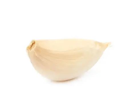 Garlic - Italian