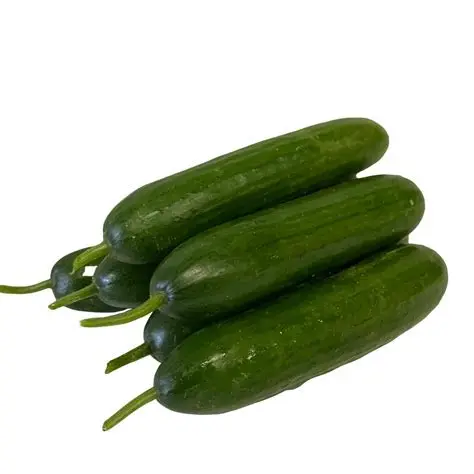 Cucumber - Lebanese