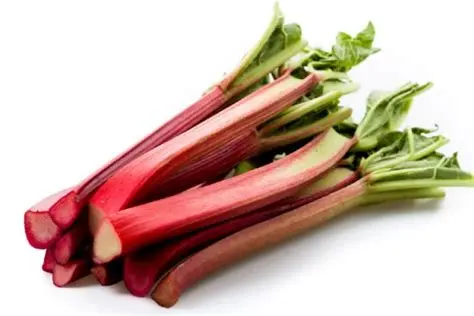 Rhubarb Bunch