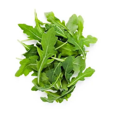 Rocket