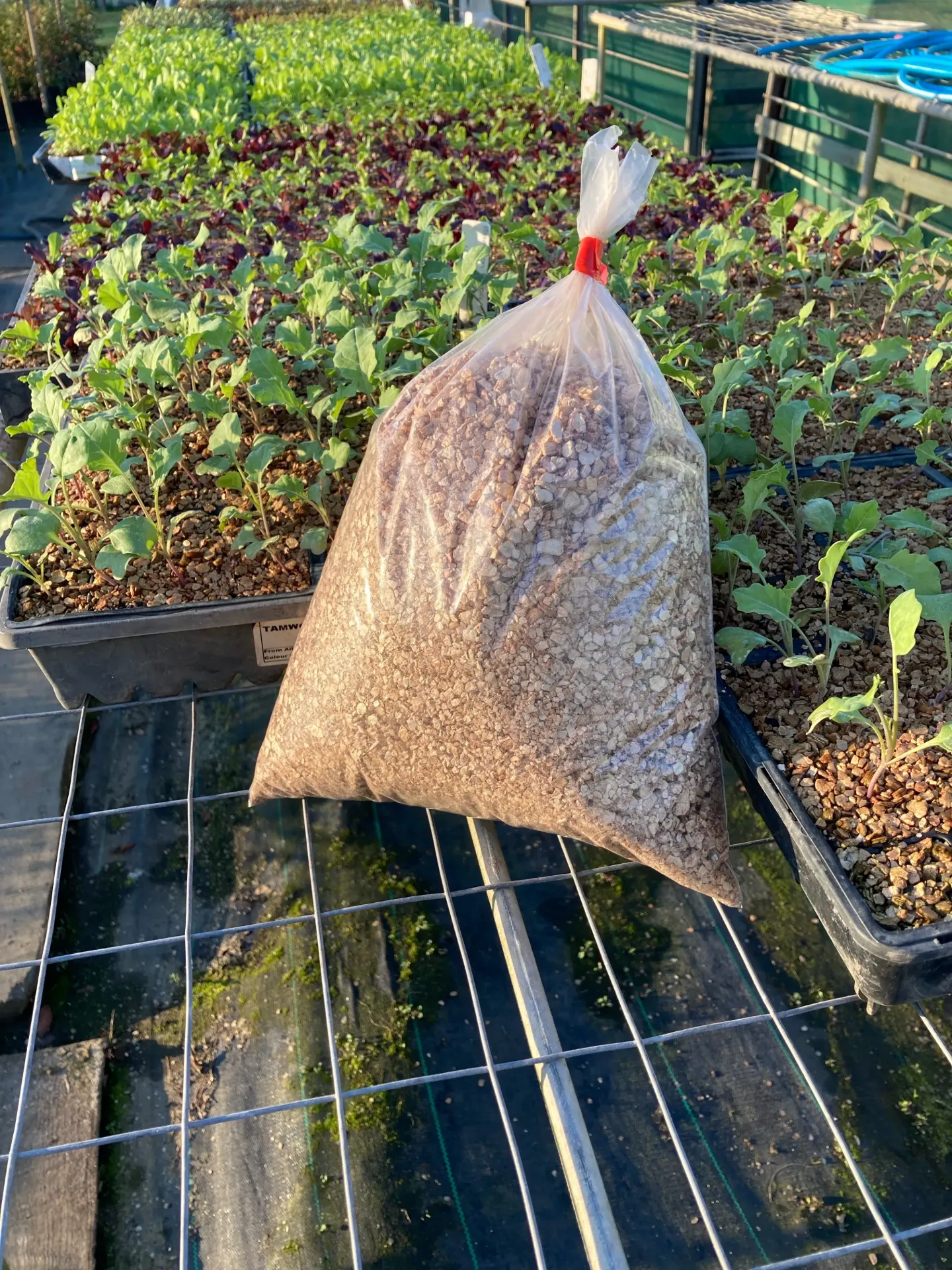 Vermiculite