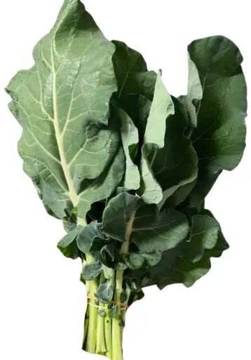 Broccoli Green Bunch