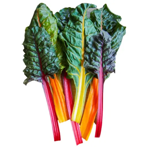 Chard, Rainbow Bunch