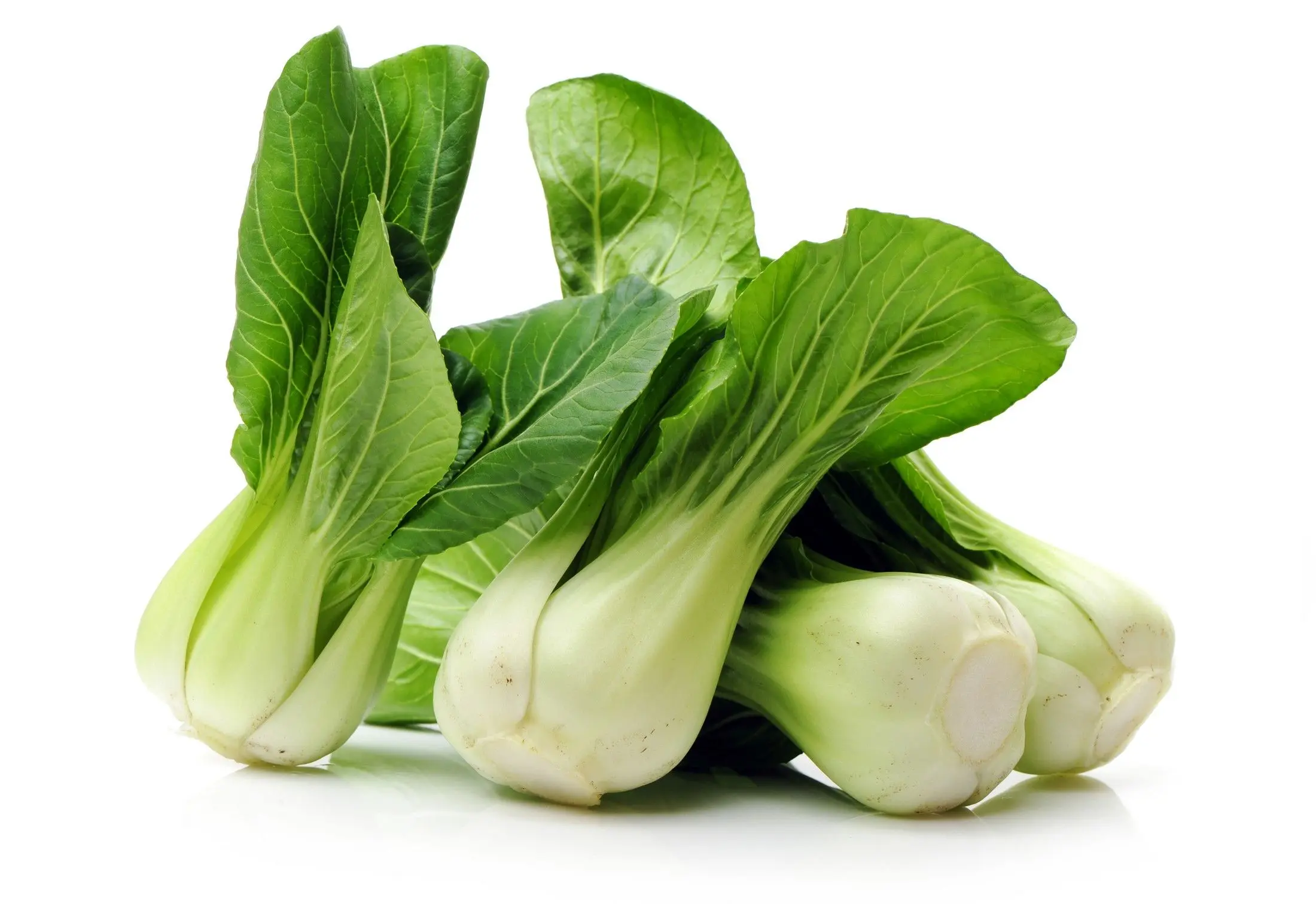 Fresh pak choi