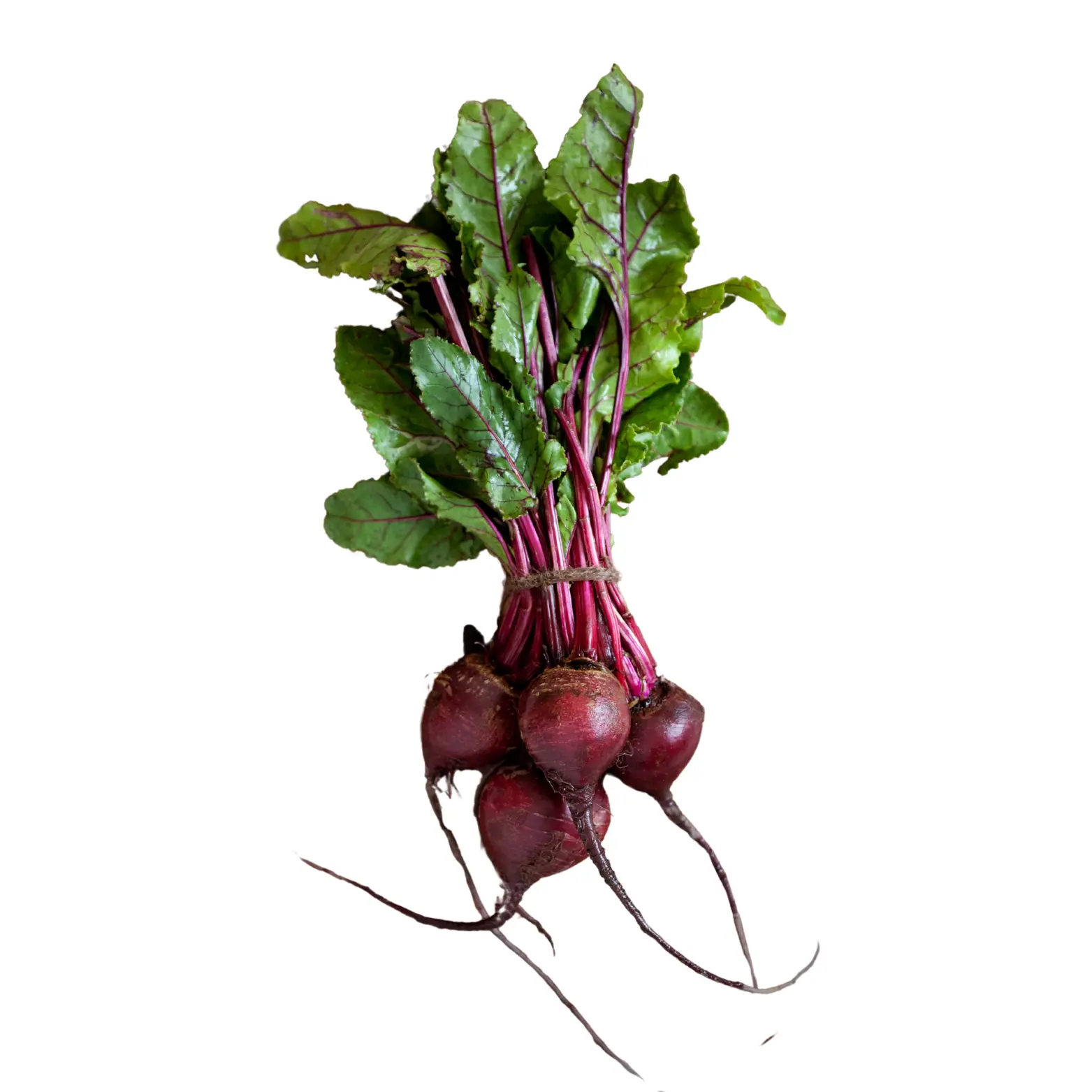 Beetroot bunch