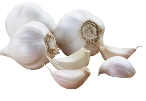 Garlic - Russian per KG