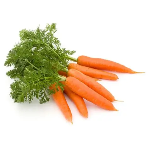 Carrots Bunched