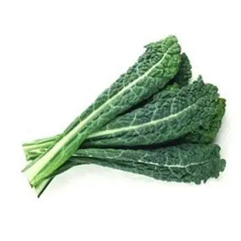 Kale - Tuscan Bunch