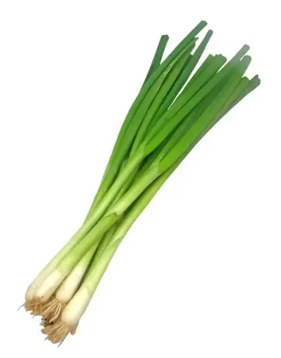 Spring Onions Bunch